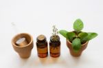 Holy Basil Essential Oil In A Glass Bottle With Fresh Holy Basil Stock Photo