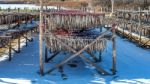 Stockfish Or Fish Drying In South Korea Stock Photo