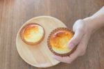 Delicious Mini Cheese Tart Dessert Stock Photo