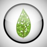 Tree In Circle Frame. Icon Concept Stock Photo