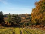 Scenic View Of The Ashdown Forest In Sussex Stock Photo