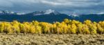 Gros Ventre River Valley Stock Photo