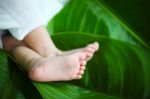 New Born Baby Foot On Green Leaf Stock Photo