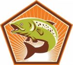 Trout Fish Jumping Retro Stock Photo