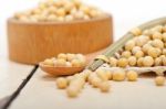 Organic Soya Beans Stock Photo