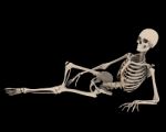 Skeleton Stock Photo