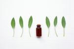 Sage Essential Oil With Sage Leaves On White Stock Photo