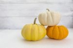 Mini Color Pumpkin Stock Photo