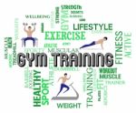 Gym Training Indicates Physical Activity And Endurance Stock Photo