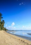 View Of  Tropical Beach With Some Palms Stock Photo