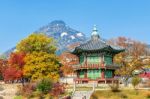 Gyeongbokgung Palace In Autumn,south Korea Stock Photo