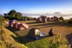 Tent Camping Stock Photo