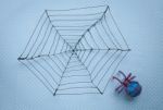 Handmade Spider Web With Blue Spider Stock Photo