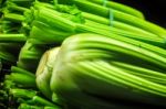 Fresh Group Of Celery Stock Photo