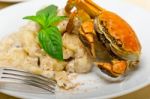 Italian Gnocchi With Seafood Sauce With Crab And Basil Stock Photo