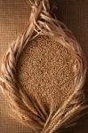 Malt Still Life Rope Flax Frame Sackcloth Background Stock Photo