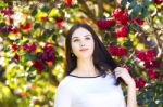 Young Beautiful Woman With Long Straight Dark Hair Posing In Spr Stock Photo