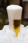 Cold Beer In Glass Stock Photo