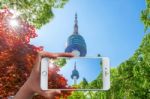 Hand Holding Smart Phone Take A Photo At Seoul Tower And Red Autumn Maple Leaves Stock Photo