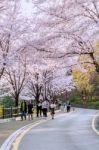 Seoul,korea - April 11 : Cherry Blossom In Seoul Tower Namhansan. Tourists Taking Photos Of The Beautiful Scenery Around Seoul Tower Namhansan In Seoul,korea On April 11,2015 Stock Photo