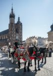 Carriage And Horses In Krakow Stock Photo