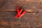 Dry Red Chili Peppers Stock Photo