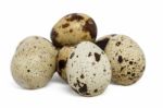 Raw Quail Eggs Stock Photo