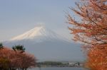 Mt. Fuji, Japan Stock Photo