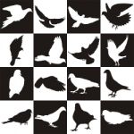 Black And White Background With Doves Stock Photo