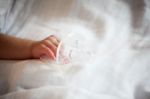 New Born Baby Hand Holding Pacifier Stock Photo