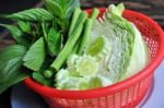 Vegetable Stock Photo