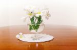 Still Life With White Spring Summer Flowers Stock Photo