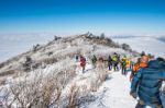 Deogyusan,korea - January 23: Tourists Taking Photos Of The Beautiful Scenery Around Deogyusan,south Korea On January 23, 2015 Stock Photo