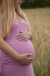 Pregnant Woman Holding Belly Stock Photo