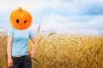 Wheat Field With Girl Wearing Pumpkin Stock Photo