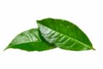 Tea Leaf Isolated On The White Background Stock Photo