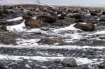 Reynisfjara Volcanic Beach In Winter Stock Photo