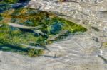 Fish Swimming In The Crystal Clear Water At Porto Cervo Stock Photo