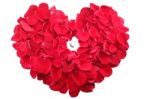 Beautiful Ring In The Middle Of A Heart Of Red Roses Petals Stock Photo