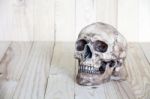 Human Skull On Wood Background Stock Photo