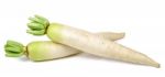 Daikon Radish Isolated On The White Background Stock Photo