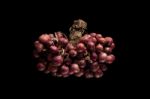 Shallots Still Life Black Background Stock Photo