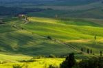 Countryside Of Val D'orcia Tuscany Stock Photo