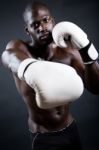 Young Athletic Boxer Wearing Gloves In Black Background Stock Photo