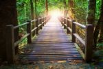 Perspective Of Wood Bridge In Deep Forest Crossing Water Stream Stock Photo