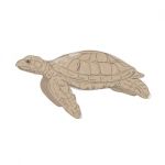 Hawksbill Sea Turtle Side Drawing Stock Photo