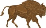 North American Bison Buffalo Charging Retro Stock Photo