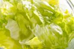 Lettuce Stock Photo