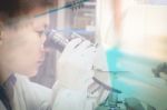 Asia Scientist Working In Biological Laboratory Stock Photo