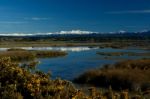 Winter Scenery Stock Photo